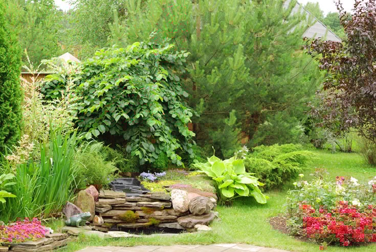 Gardening 101: Fundamentals All Gardeners Need to Know 5 Evergreen and deciduous trees, shrubs and a small waterfall in a home garden.