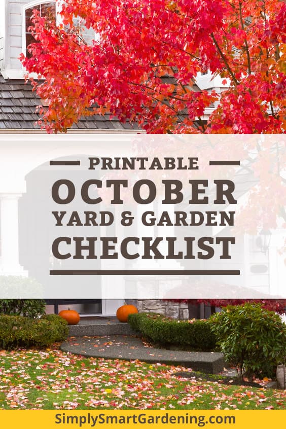 What To Do In Your Yard & Garden This October (Mid-Fall) 1 Red maple tree in front of a white house in October